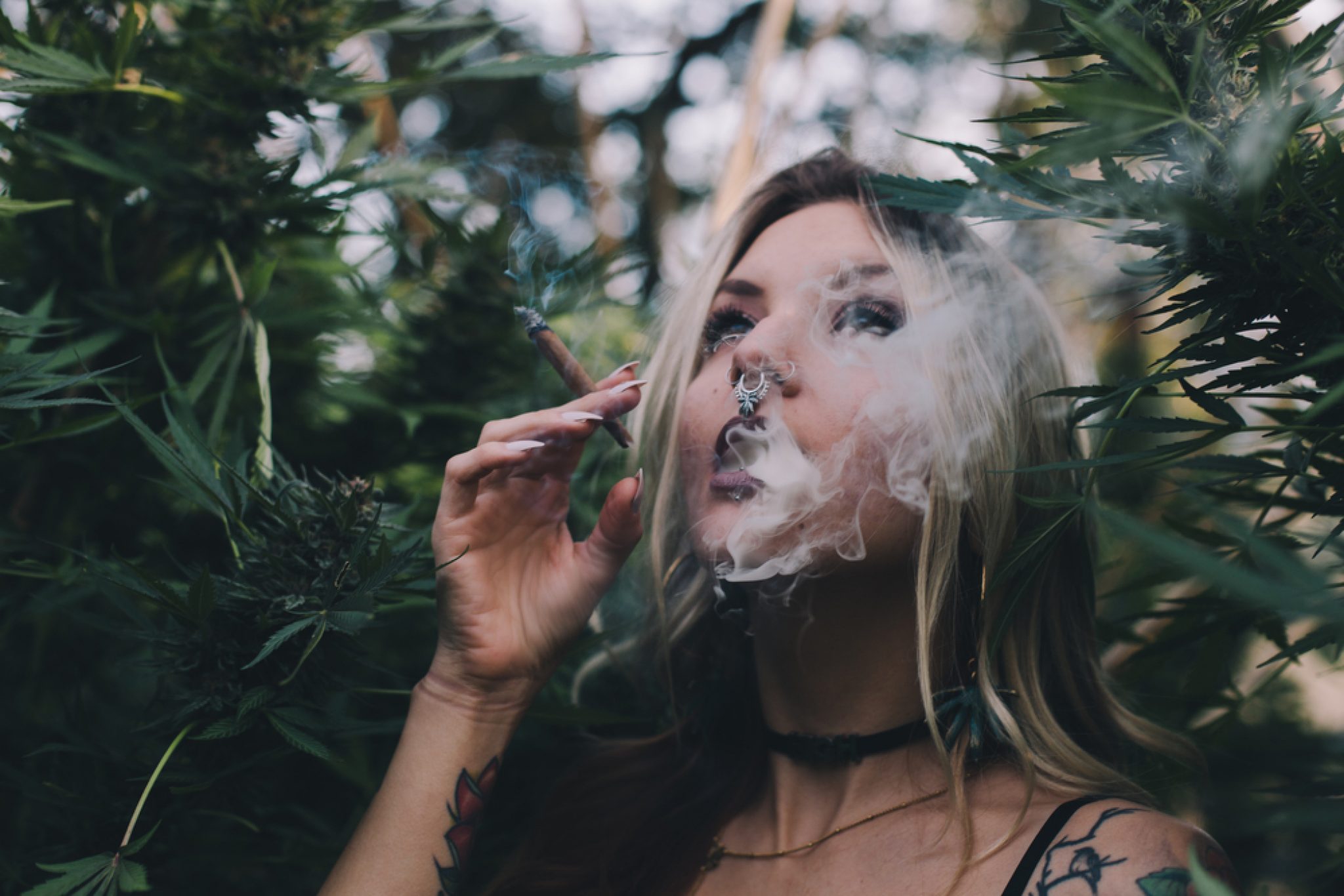 женщины курят марихуану