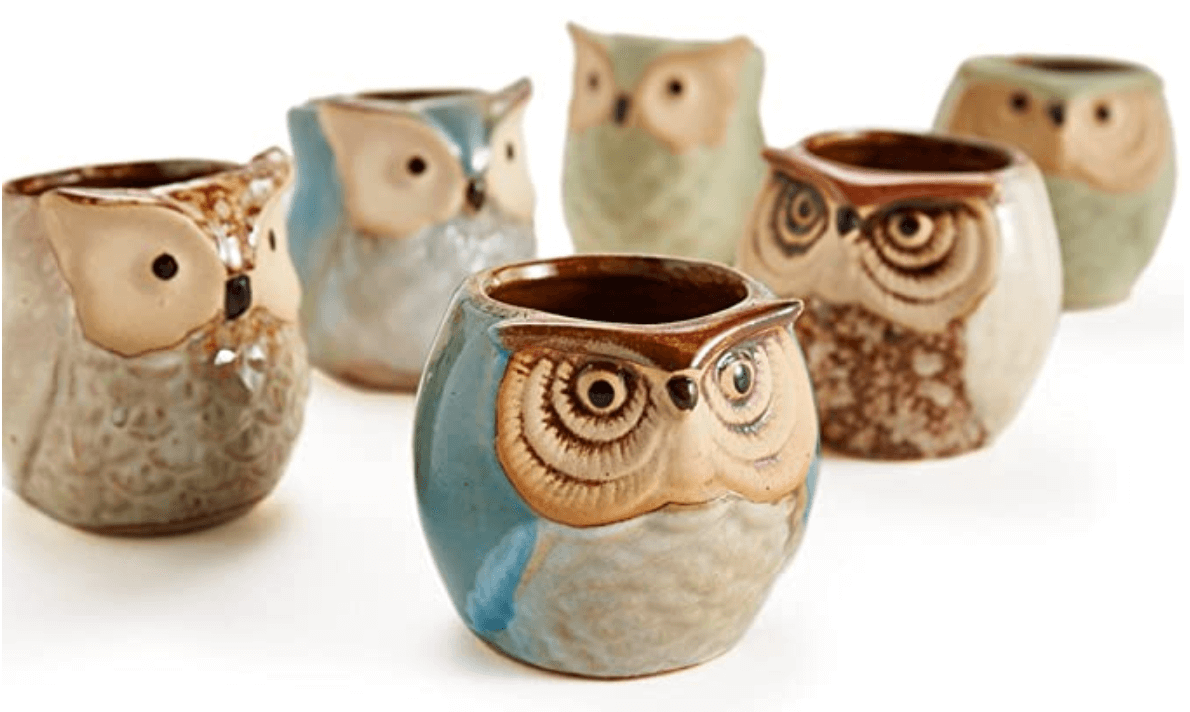 Owl Ceramic Pots