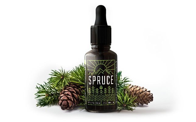 Spruce 