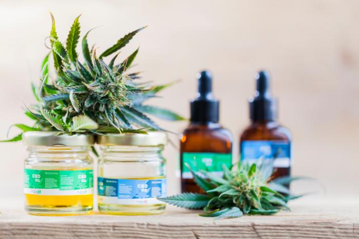 Best CBD Oils Money Can Buy Today