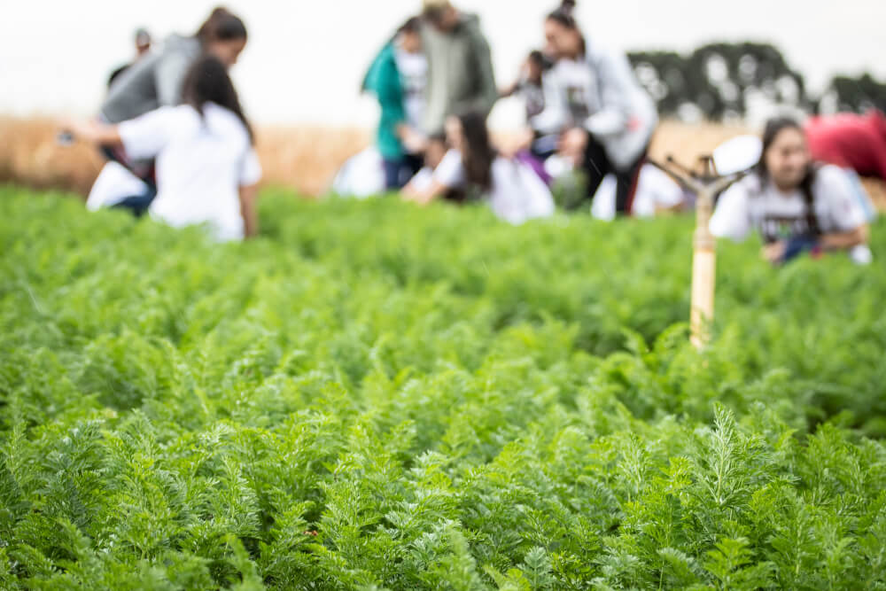 Urban farming campus