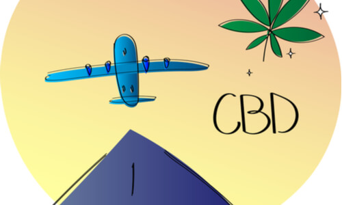 cbd oil infogrpahic with plane and hemp plant on it