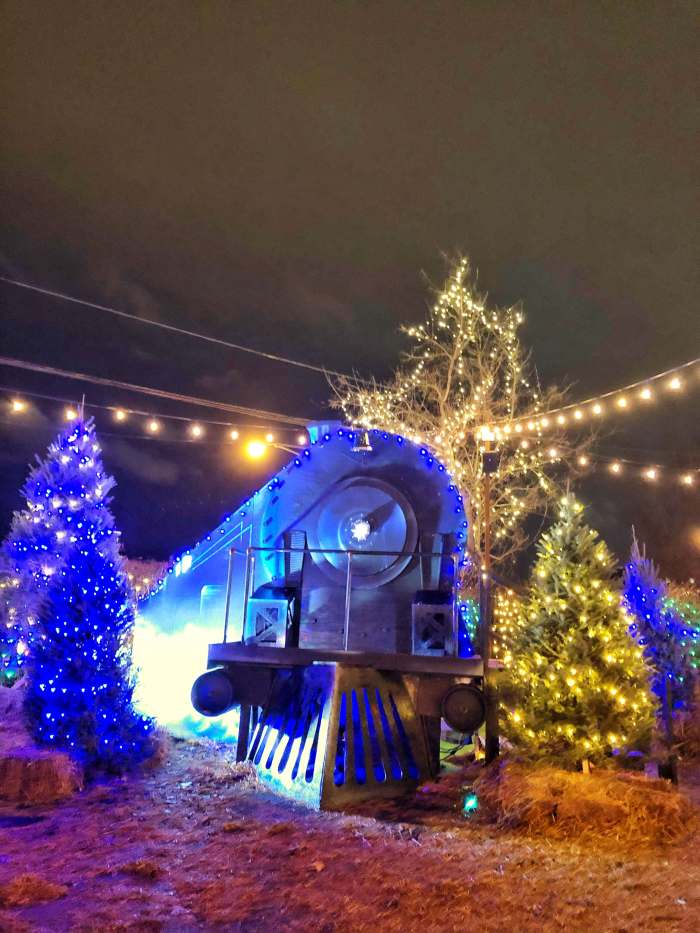 Jack Frost Winter Village Chicago Polar Train