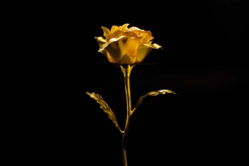 Powstro 24K Gold Foil Artificial Forever Rose