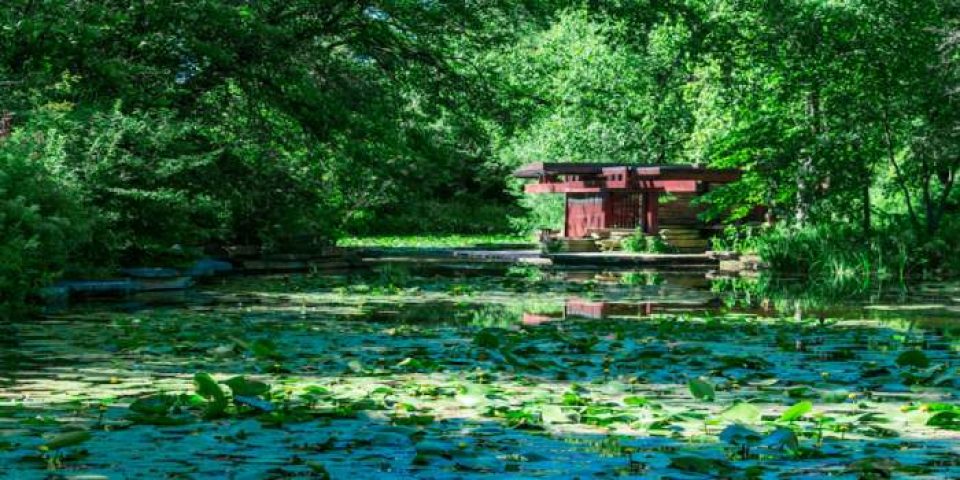 Alfred Caldwell Lily Pool