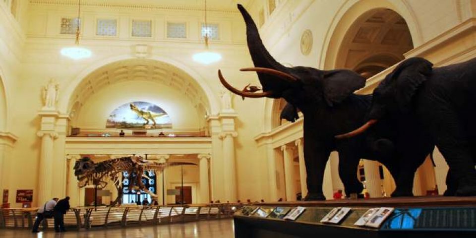 Field Museum