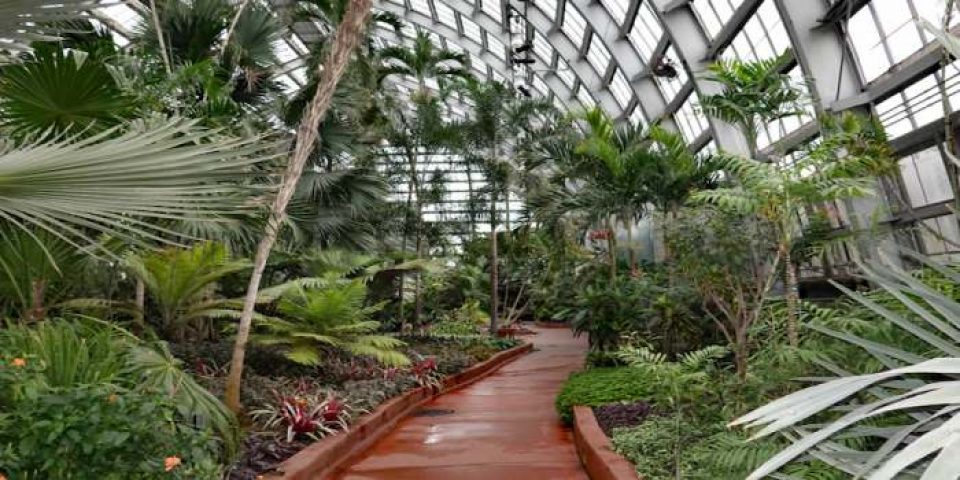 Garfield Park Conservatory