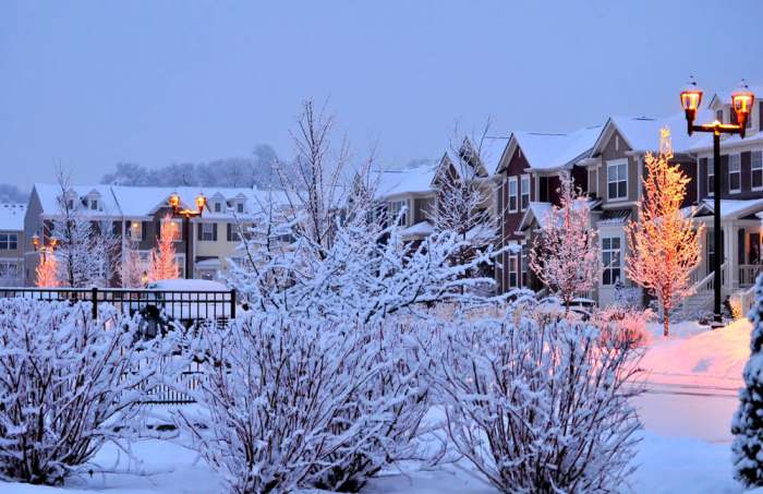 chicago suburbs during the winter