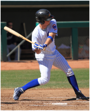 Picture of Cubs Baseball Game