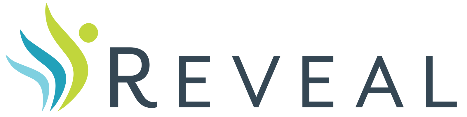 Reveal-Logo
