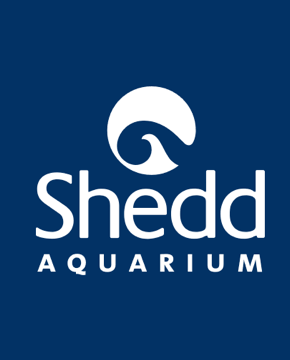 Shedd Aquarium