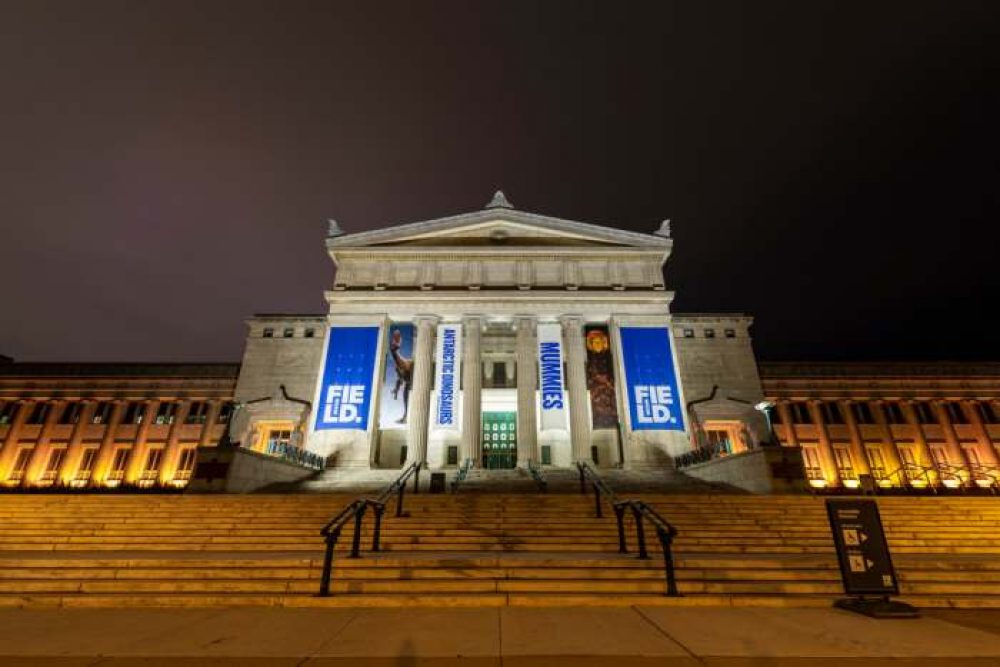 Field museum chicago