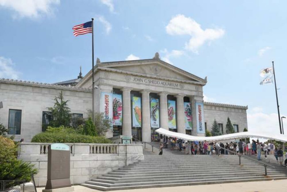 Shedd Aquarium