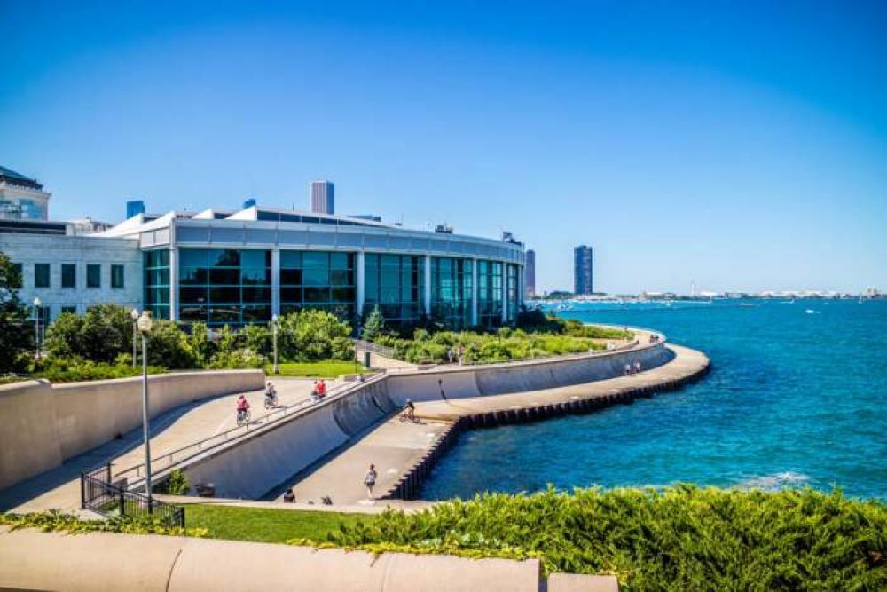 Shedd Aquarium