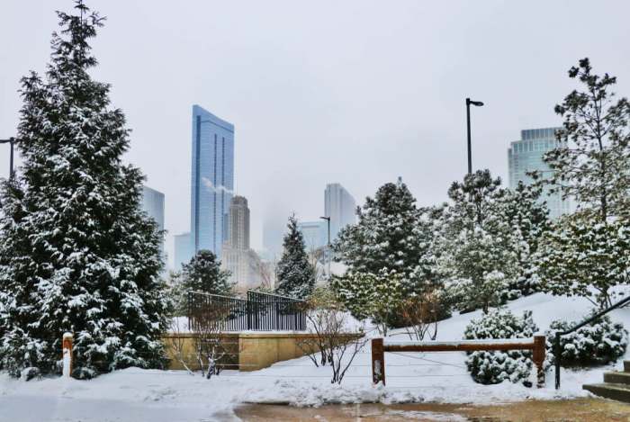 Winter Chicago cityscape with downtown skyscrapers in a mist and trees covered by fresh snow on a foreground. Snowy day in Chicago