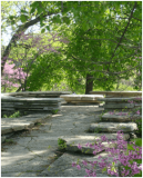 Alfred Caldwell Lily Pool in Lincoln Park