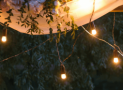 Affordable Weddings in Chicago