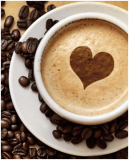 Coffee Tree & Tea Leaves