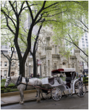 Great Lakes Horse & Carriage