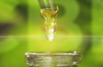Guide to Buying CBD Oil in Chicago