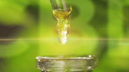 Guide to Buying CBD Oil in Chicago