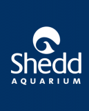 Shedd Aquarium