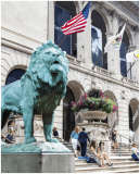 The Art Institute of Chicago