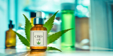 CBD: between hype and facts