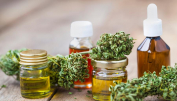 Everything You Need to Know About CBD Oil