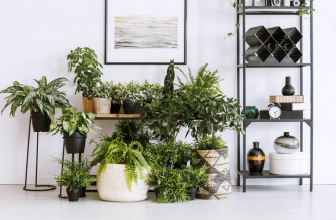 Top 6 Best Plant Stands to Check Out in 2024 (In-Depth Buying Guide)