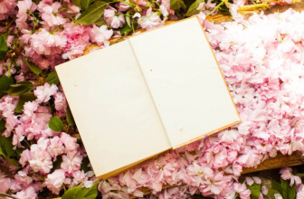 Best Funny Romance Novels