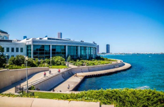Shedd Aquarium Has Unveiled Details and Renderings of Its $500 Million Transformation