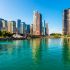 The Chicago Park District is Selling Unused Plants During Pandemic