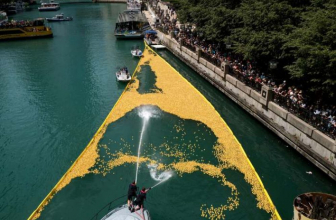 The Annual Chicago Ducky Derby Comes Back in 2023 to Support the Special Olympics
