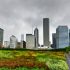 The Chicago Park District is Selling Unused Plants During Pandemic
