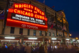 Chicago Cubs Fans Will Pay Anything to Watch the Games in Person