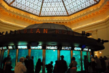 A Glass Tunnel, the New Star Attraction at Shedd Aquarium After a $500 Million Renovation